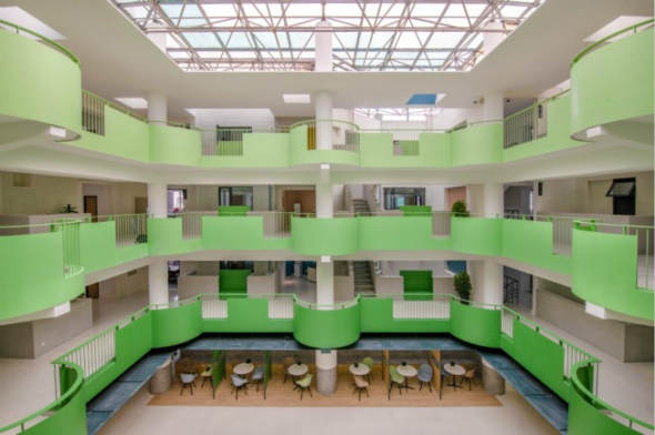 向上而生 ,“植樹”城市11_meitu_27.jpg